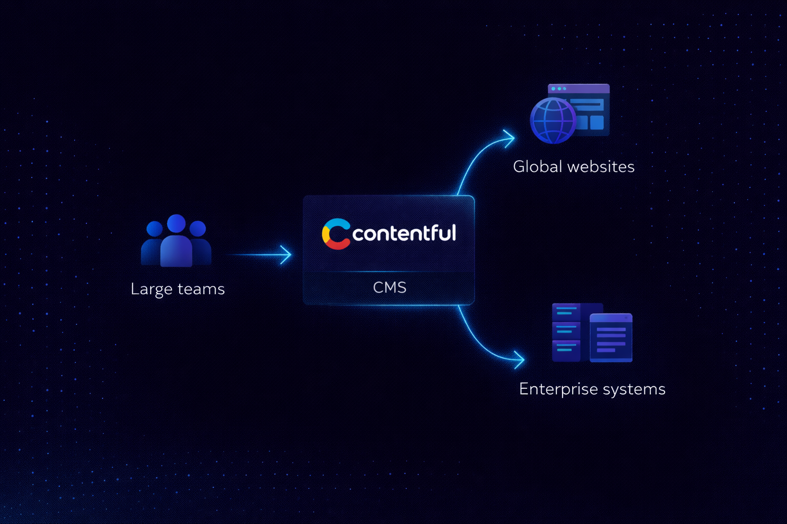 Contentful Enterprise Use Case