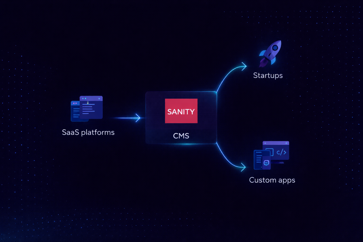 Sanity Use Case Diagram